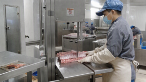 Heavy-Duty Vertical Bone Saw for Pork Rib Portioning: A Central Butcher Shop Case Study - Yuerui Machinery