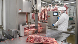 Industrial Band Saw Machine in a Beef Carcass Processing Plant - Yuerui Machinery