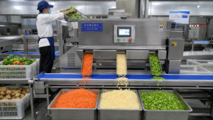 Multi-Function Vegetable Cutting Line Powers a 5,000-Meal Central Kitchen - Yuerui Machinery