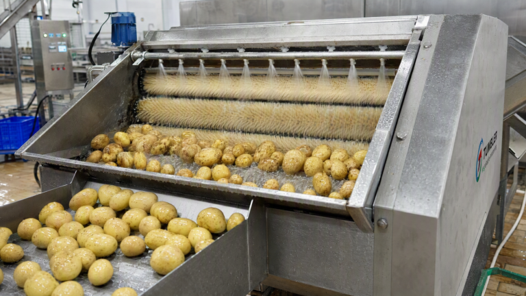 Industrial Potato Washing System for a French Fry Production Line - Yuerui Machinery
