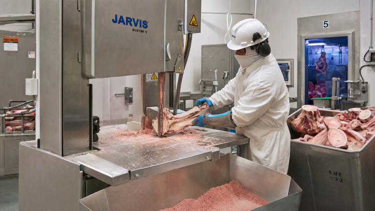 Industrial Band Saw at an Argentine Beef Plant: 200 Carcasses Daily - Yuerui Machinery