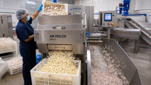 Garlic Peeler at a Chinese Condiment Factory: 300 kg/hour Dry Peeling - Yuerui Machinery
